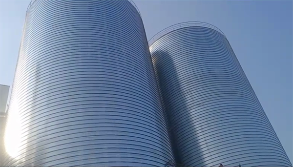 龙华2座混凝土高架卷板仓